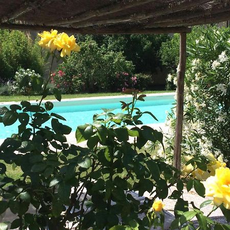 Agriturismo Lupo Vecchio Grosseto Zewnętrze zdjęcie