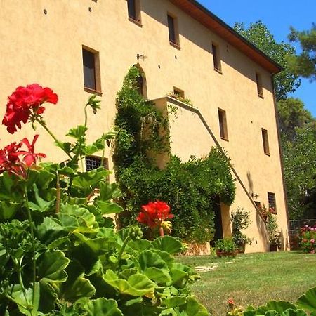 Agriturismo Lupo Vecchio Grosseto Zewnętrze zdjęcie