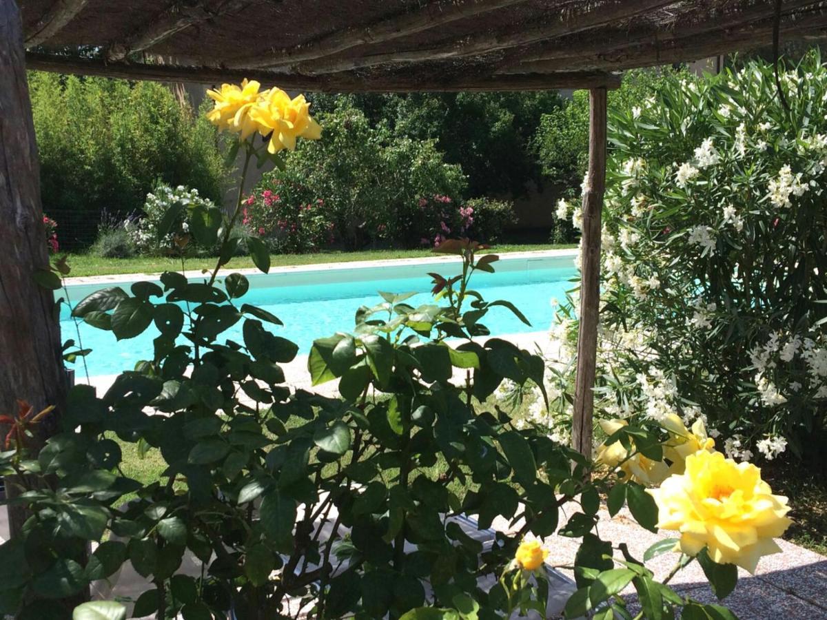 Agriturismo Lupo Vecchio Grosseto Zewnętrze zdjęcie