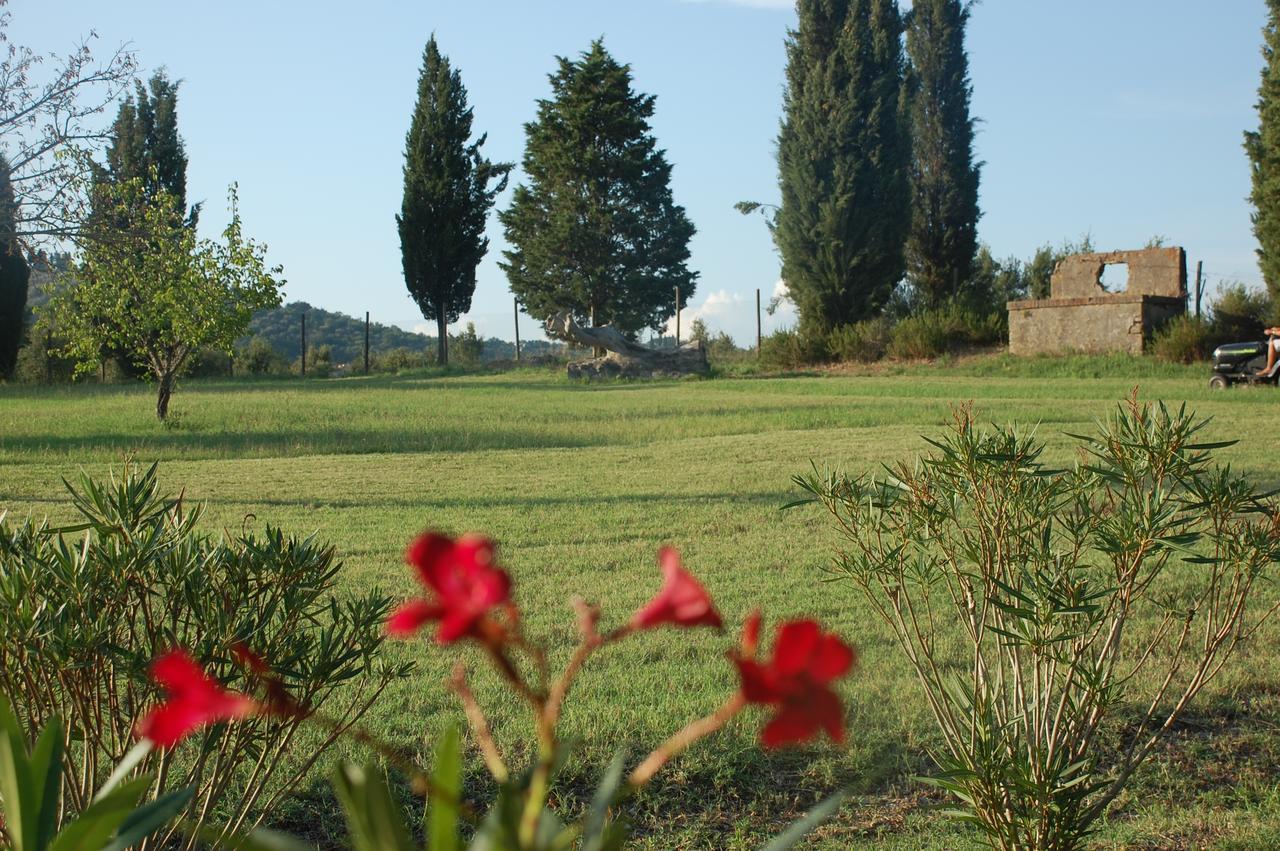 Agriturismo Lupo Vecchio Grosseto Zewnętrze zdjęcie