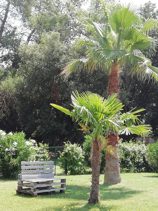 Agriturismo Lupo Vecchio Grosseto Zewnętrze zdjęcie