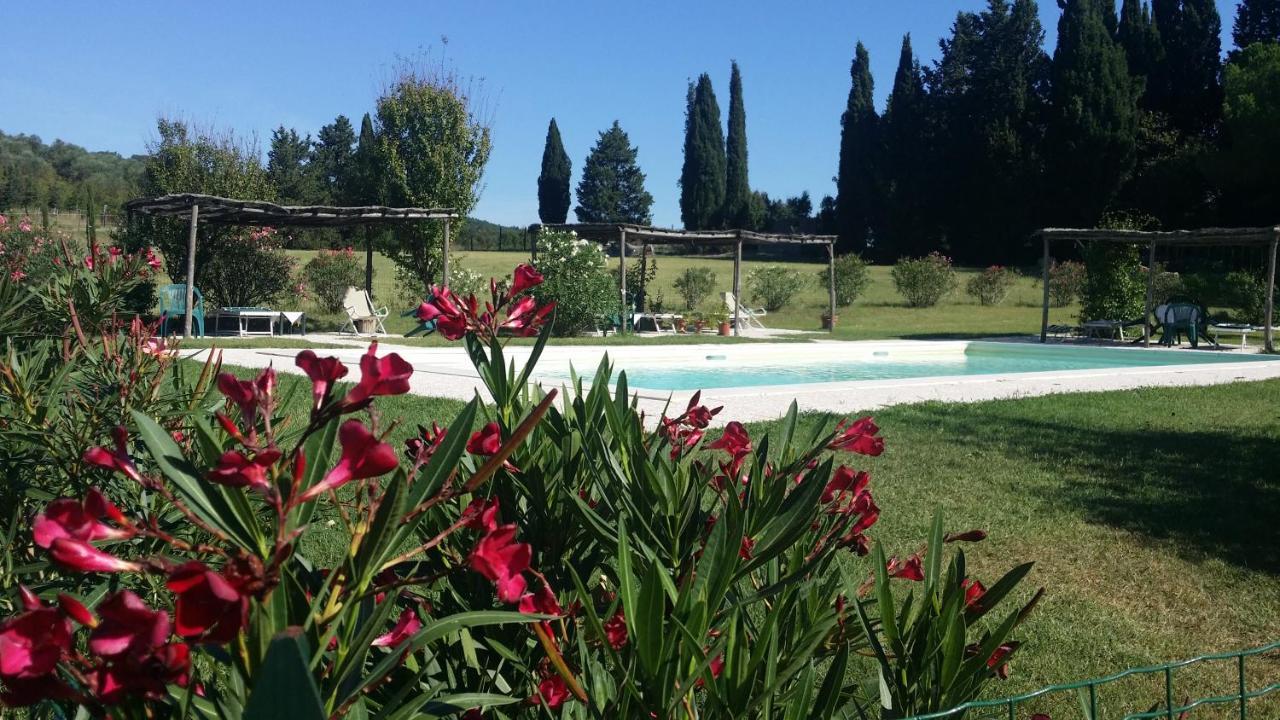 Agriturismo Lupo Vecchio Grosseto Zewnętrze zdjęcie