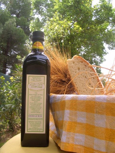 Agriturismo Lupo Vecchio Grosseto Zewnętrze zdjęcie